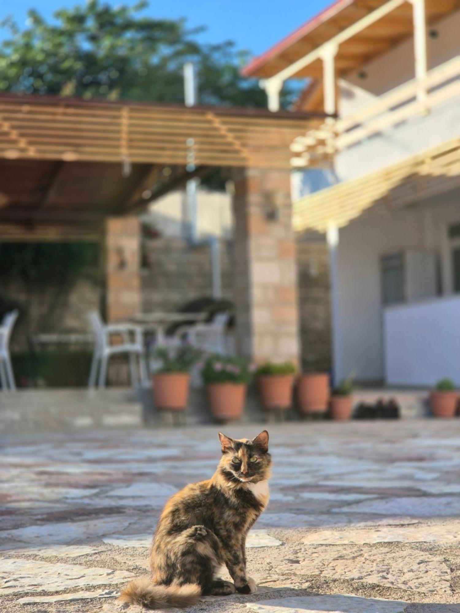 Villa JOSANA Sarandë Eksteriør billede