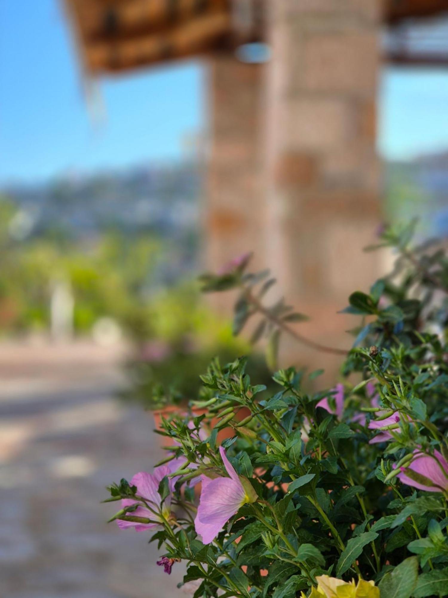 Villa JOSANA Sarandë Eksteriør billede