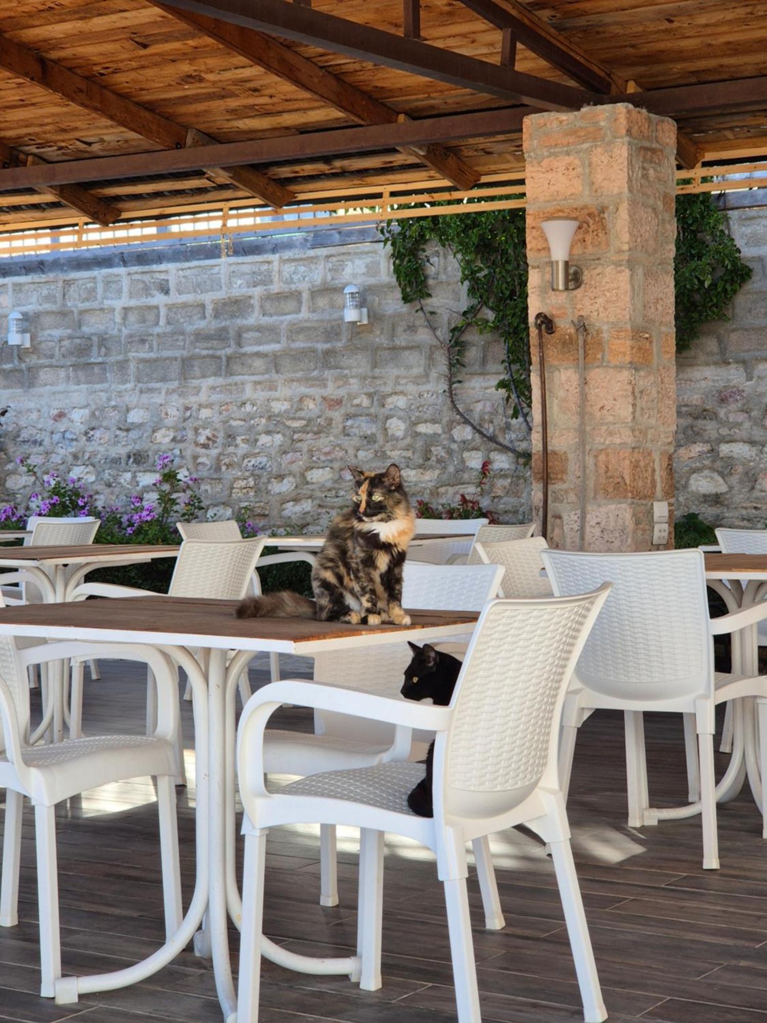 Villa JOSANA Sarandë Eksteriør billede